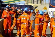Photo of CCEP de Codelco consolida su aporte al empleo local y al desarrollo del ecosistema productivo regional