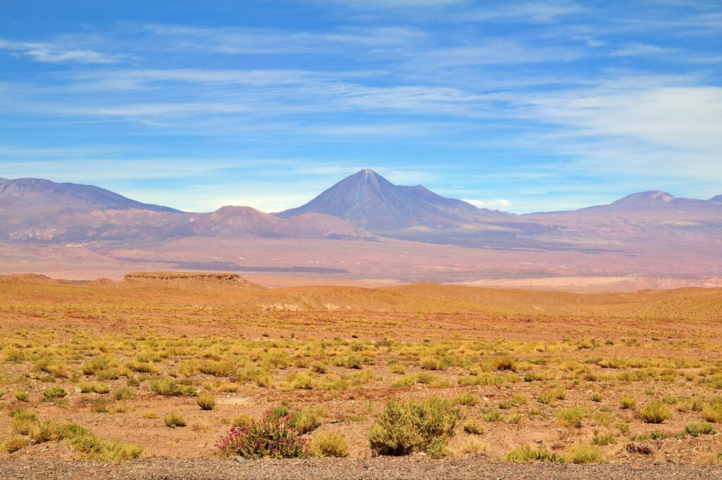 Chilenización del desierto de Atacama y Taltal exponen en 58 Congreso ...