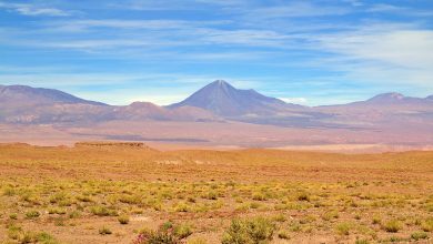 Photo of Chilenización del desierto de Atacama y Taltal exponen en 58 Congreso Americanista en Serbia