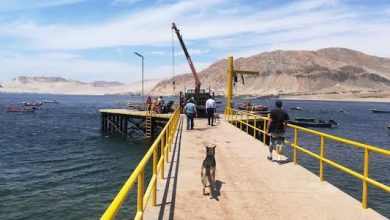 Photo of Piden al Ejecutivo reponer el bono compensatorio para pescadores artesanales