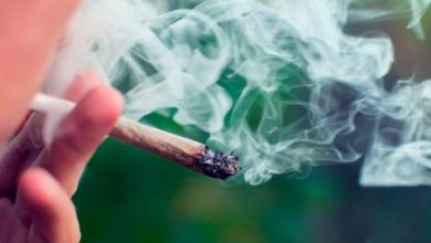 Photo of En control carretero Carabineros del OS7 sorprende más de 15 mil dosis de marihuana en bus interprovincial