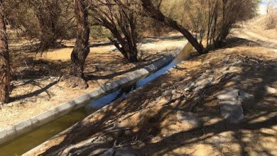 Photo of Ley de riego: unánime respaldo a proyecto que prorroga y mejora sus beneficios