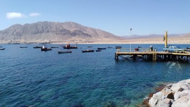 Photo of Cada 29 de junio podría conmemorarse el “Día del Pescador Artesanal”