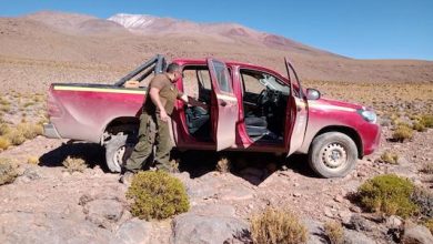 Photo of Carabineros evita que dos camionetas sean sacadas del país