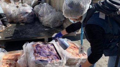 Photo of Salud decomisa más de mil kilos de carne en la región