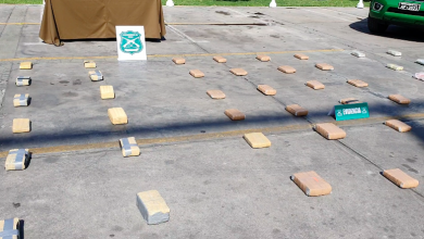 Photo of MÁS DE 110 KILOS DE DROGAS Y DOS DETENIDOS EN DISTINTOS PROCEDIMIENTOS DE DROGAS EN MENOS DE 24 HORAS