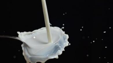 Photo of Sustentabilidad ganadera y adaptación al cambio climático son parte de los desafíos que abordó la Comisión Nacional de la Leche