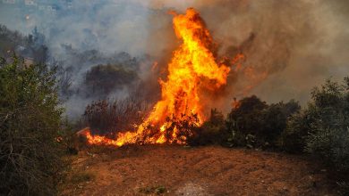 Photo of Buscan permitir que localidades costeras en terrenos irregulares afectadas por incendios se acojan a beneficios