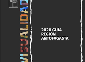 Photo of Seremi de las Culturas presenta Guía de Artes de la Visualidad de la región de Antofagasta