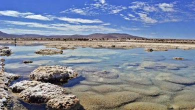 Photo of Los indígenas solo poseen legalmente la mitad de tierras que habitan en el mundo