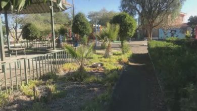 Photo of Municipio de Calama contará con subsidio para mantención de parques y áreas verdes