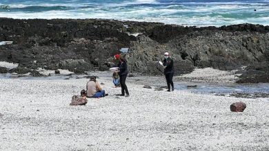 Photo of Salud denunció a mujer que agredió a funcionaria durante fiscalización
