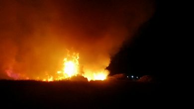 Photo of Que un descuido no desate una tragedia: Estos son los principales consejos para prevenir incendios forestales