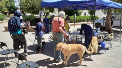Photo of MAS DE MIL MASCOTAS DE ZONAS FRONTERIZAS FUERON VACUNADAS