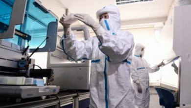 Photo of Llega a América Latina la variante Ómicron detectado en Brasil