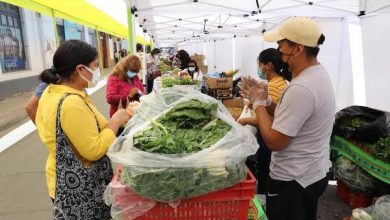 Photo of 150 EXPOSITORES LOCALES SERÁN PARTE DE FEPLOA EN EL 144° ANIVERSARIO DE LA COMUNA