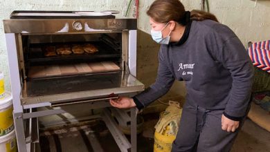 Photo of Se destinarán más $950 millones a programa de emprendimiento para mujeres de la región de Antofagasta