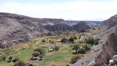Photo of Pobladores de Lasana reciben insumos para fortalecer sus economías familiares