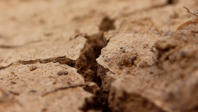 Photo of Primer Tribunal Ambiental realizará ciclo de coloquios sobre lo nuevo en medioambiente