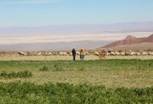 Photo of BUSCAN FORTALECER LA AGRICULTURA DE CALAMA Y SAN PEDRO DE ATACAMA