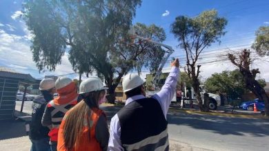 Photo of Ley sobre arbolado urbano vuelve a Comisión de Medio Ambiente