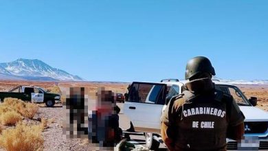 Photo of Senadora Paulina Núñez destaca cambio de actitud del gobierno para enfrentar crisis migratoria