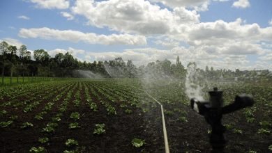 Photo of Fomento de la reutilización de aguas grises en la agricultura: Sala deberá pronunciarse sobre el proyecto