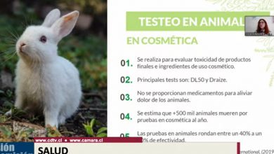 Photo of Comisión de Salud aprobó proyectos que prohíben experimentación de cosméticos en animales