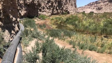 Photo of Gobierno lanza medidas para apoyar la regularización de derechos de aguas de pequeños agricultores