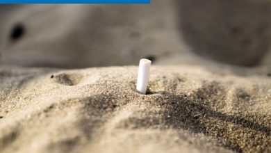 Photo of Prohibición de fumar en playas: 85,7% está favor del proyecto en general