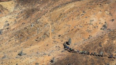 Photo of Serpat se suma a celebración del día del Desierto de Atacama