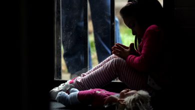 Photo of Reforma al sistema de adopción será analizada por la Sala del Senado
