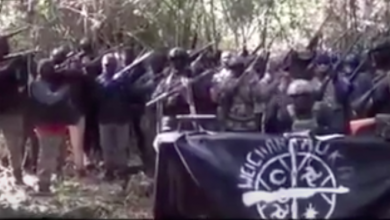 Photo of VIDEO GRUPO ARMADO DE LA ARAUCANÍA