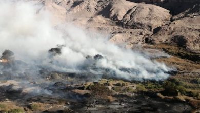 Photo of CONAF busca potenciar la prevención de incendios forestales