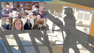 Photo of Extensión de la ley del mono en un año es remitida a su segundo trámite