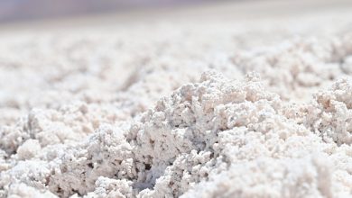 Photo of Proceso de licitación pública del litio fue analizado en Comisiones de Economía y de Minería