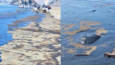 Photo of Repsol reconoce que no fue “consciente” de la magnitud del derrame de petróleo en un inicio