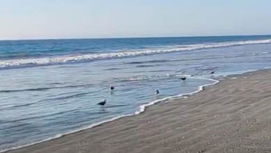 Photo of EL CANTO DEL MAR EN HORNITOS