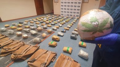 Photo of PDI logra capturar millonaria carga de marihuana