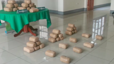 Photo of Millonaria carga de marihuana Creepy detectó carabineros