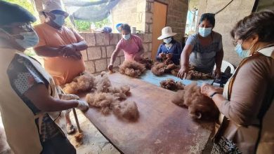 Photo of Casa Telar: el legado de la textilería lickanantay