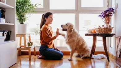 Photo of Cuidar casas y mascotas: el truco de esta pareja para viajar el mundo con alojamiento gratis