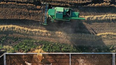 Photo of El PP pide al Gobierno un plan de contingencia agrario ante la guerra