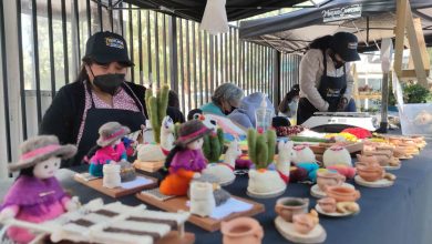 Photo of Importante muestra en Alto El Loa