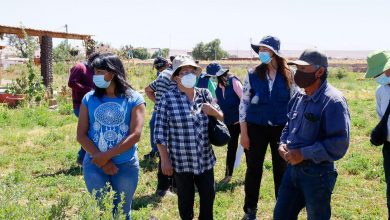 Photo of Agricultores de Río GFrande conocen otra realidad de la Mostaza Negra