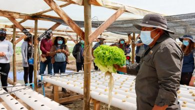 Photo of Agricultores de Río Grande conocen otras realidades en el control de la Mostaza Negra
