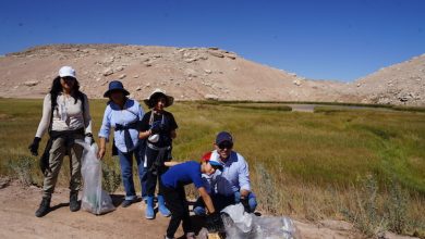 Photo of Con limpieza en Laguna de Los Patos Minera El Abra celebró mes del voluntariado Corporativo