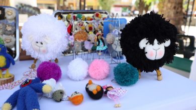 Photo of Representantes de Calama y Alto El Loa dan vida a la Feria de la Biodiversidad