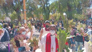 Photo of Con amor al Señor fieles calameños celebraron Domingo de Ramos