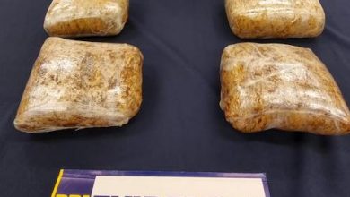 Photo of El olfato no falla nunca, más de 4 kilos de droga detectaron canes PDI